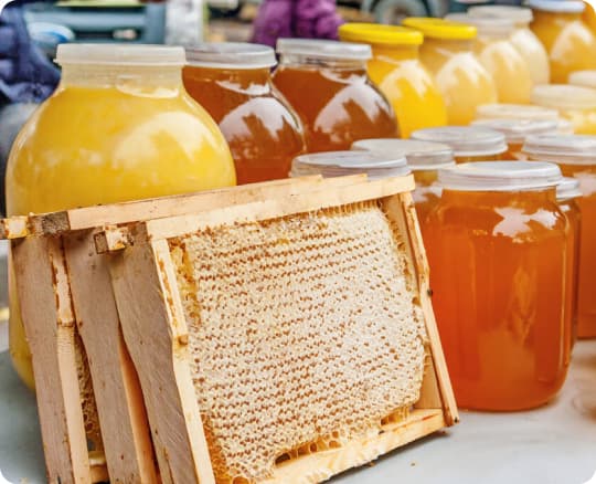 jars-of-honey